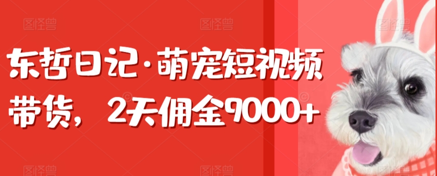 东哲日记·萌宠短视频带货，2天佣金9000+-巴七创客网