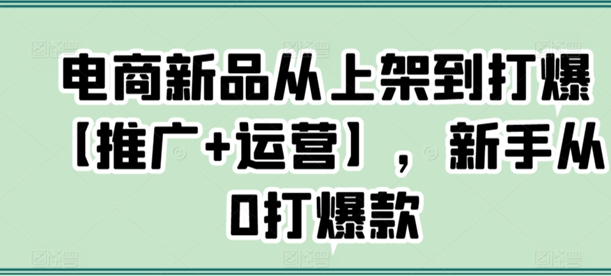 电商新品从上架到打爆【推广+运营】，新手从0打爆款-巴七创客网