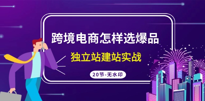 跨境电商怎样选爆品，独立站建站实战（20节高清课）-巴七创客网