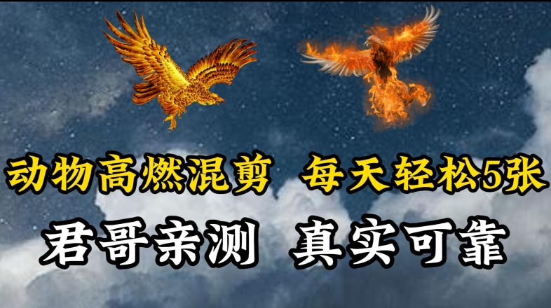 动物超燃混剪，每天轻松5张，剪辑简单大家爱看-巴七创客网