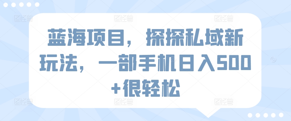 蓝海项目，探探私域新玩法，一部手机日入500+很轻松-巴七创客网