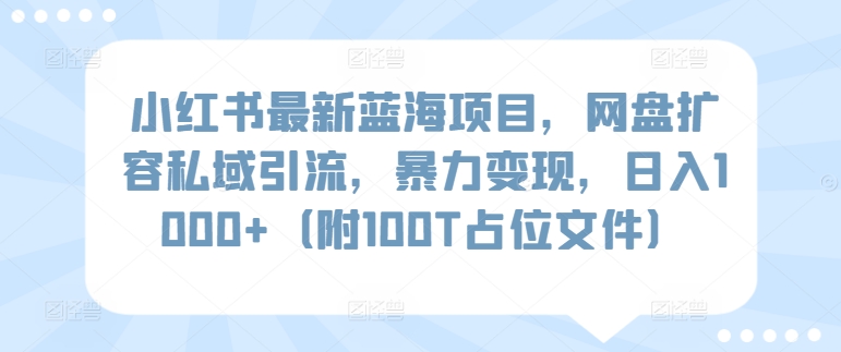 小红书最新蓝海项目，网盘扩容私域引流，暴力变现，日入1000+（附100T占位文件）-巴七创客网
