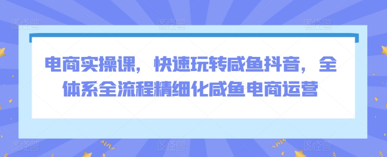 电商实操课，快速玩转咸鱼抖音，全体系全流程精细化咸鱼电商运营-巴七创客网