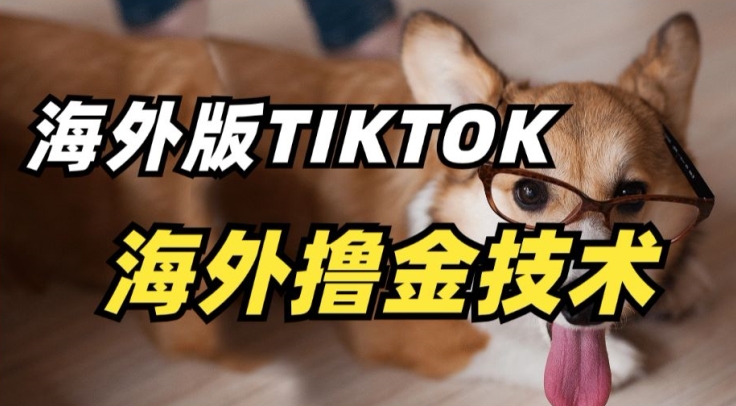 抖音海外版tiktok撸金技术，这个风口行业，赚钱真的不难-巴七创客网