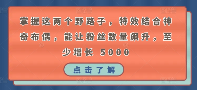 掌握这两个野路子，特效结合神奇布偶，能让粉丝数量飙升，至少增长 5000-巴七创客网