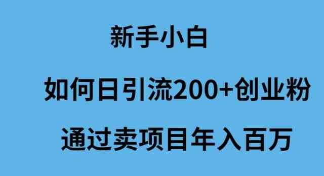 （9668期）新手小白如何日引流200+创业粉通过卖项目年入百万-巴七创客网