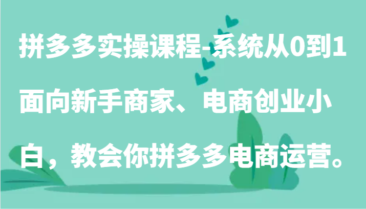 拼多多实操课程-系统从0到1，面向新手商家、电商创业小白，教会你拼多多电商运营。-巴七创客网