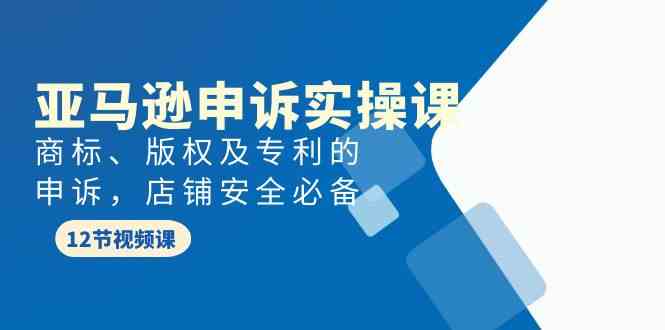（9754期）亚马逊-申诉实战课，​商标、版权及专利的申诉，店铺安全必备-巴七创客网