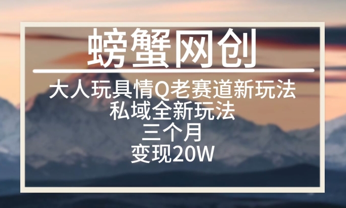 大人玩具情Q用品赛道私域全新玩法，三个月变现20W，老项目新思路-巴七创客网