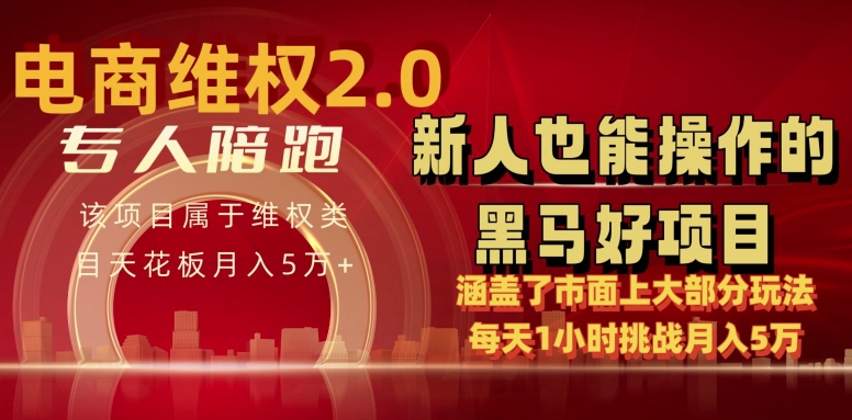电商维权 4.0 如何做到月入 5 万+每天 1 小时新人也能快速上手【仅揭秘】-巴七创客网