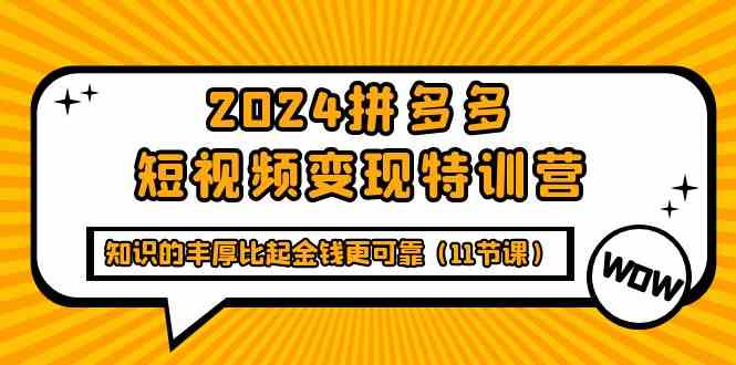 （9817期）2024拼多多短视频变现特训营，知识的丰厚比起金钱更可靠（11节课）-巴七创客网
