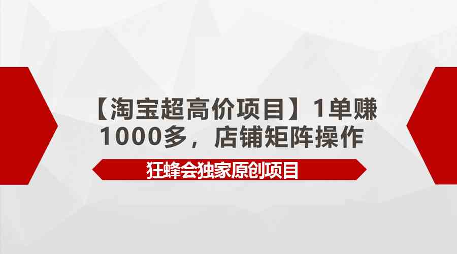 （9849期）【淘宝超高价项目】1单赚1000多，店铺矩阵操作-巴七创客网