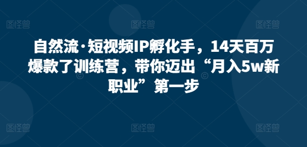 自然流·短视频IP孵化手，14天百万爆款了训练营，带你迈出“月入5w新职业”第一步-巴七创客网