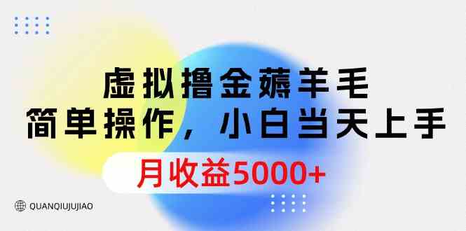 （9864期）虚拟撸金薅羊毛，简单操作，小白当天上手，月收益5000+-巴七创客网