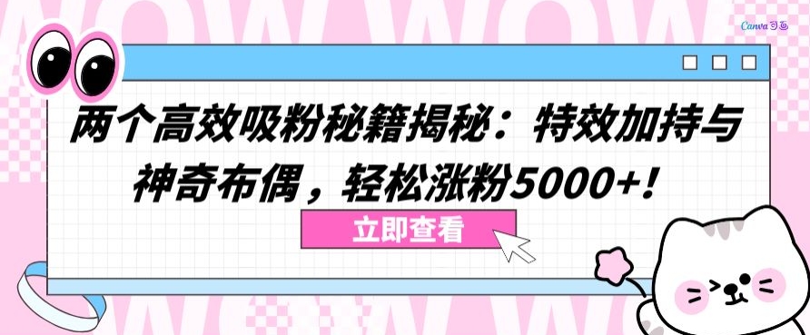 两个高效吸粉秘籍揭秘：特效加持与神奇布偶，轻松涨粉5000+-巴七创客网