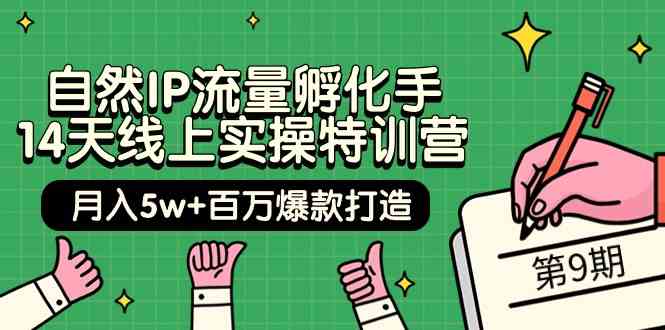 自然IP流量孵化手14天线上实操特训营【第9期】月入5w+百万爆款打造 (74节)-巴七创客网