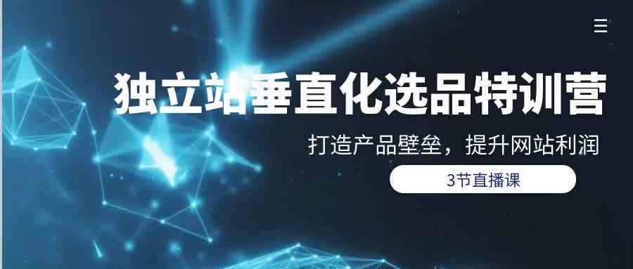 独立站垂直化选品训练营，打造产品壁垒，提升网站利润（3节直播课）-巴七创客网
