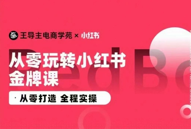 王导主·小红书电商运营实操课，​从零打造  全程实操-巴七创客网
