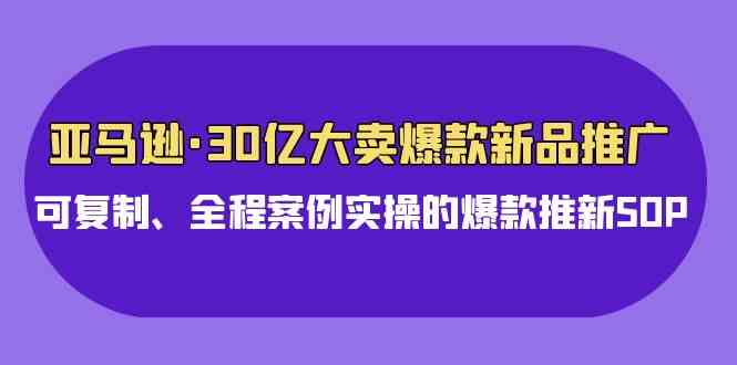 （9944期）亚马逊30亿·大卖爆款新品推广，可复制、全程案例实操的爆款推新SOP-巴七创客网