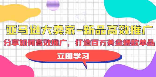 （9945期）亚马逊 大卖家-新品高效推广，分享如何高效推广，打造百万美金爆款单品-巴七创客网
