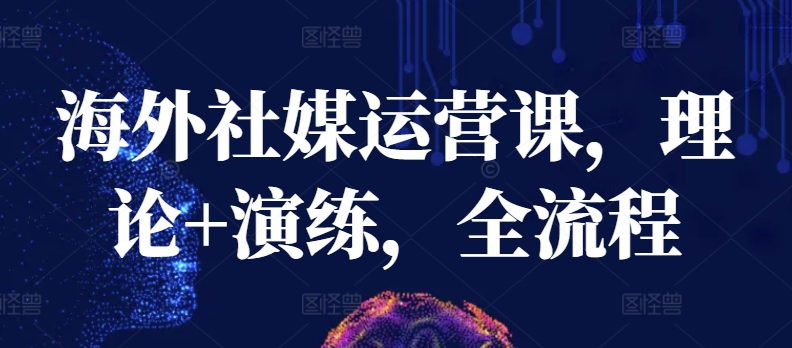 海外社媒运营课，理论+演练，全流程-巴七创客网