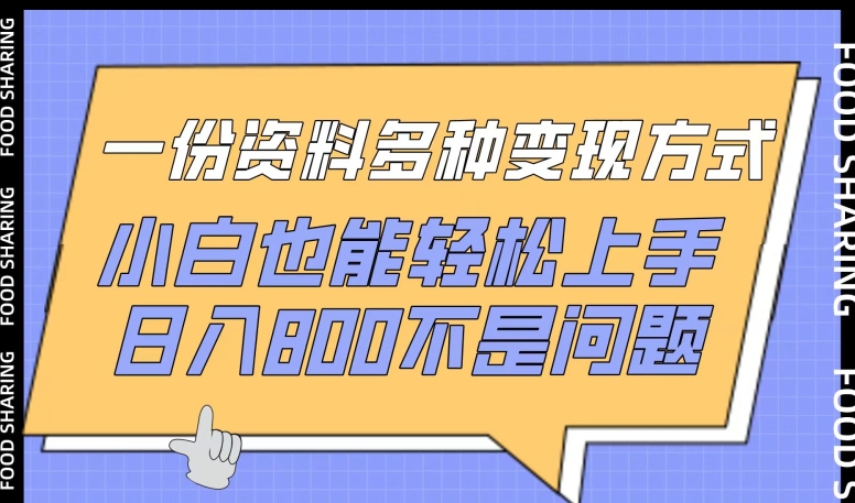 一份资料多种变现方式，小白也能轻松上手，日入800不是问题-巴七创客网