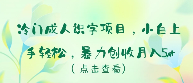 冷门成人识字项目，小白上手轻松，暴力创收月入5w+-巴七创客网