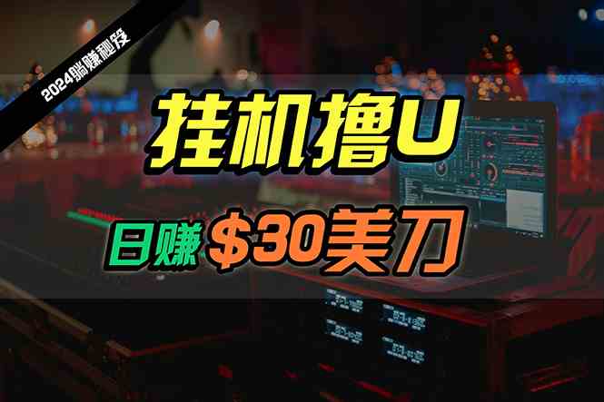 （10013期）日赚30美刀，2024最新海外挂机撸U内部项目，全程无人值守，可批量放大-巴七创客网