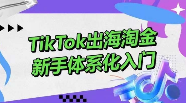 TikTok出海淘金，新手体系化入门，零基础快速入门，掌握短视频、直播带货等引流到变现的知识-巴七创客网