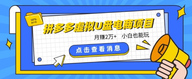 拼多多虚拟U盘电商红利项目：月赚2万+，新手小白也能玩-巴七创客网