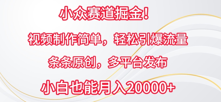 小众赛道掘金，视频制作简单，轻松引爆流量，条条原创，多平台发布-巴七创客网
