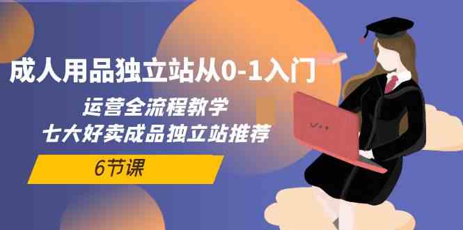 成人用品独立站从0-1入门，运营全流程教学，七大好卖成品独立站推荐（6节课）-巴七创客网