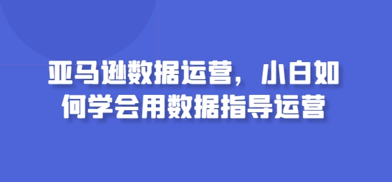 亚马逊数据运营，小白如何学会用数据指导运营-巴七创客网