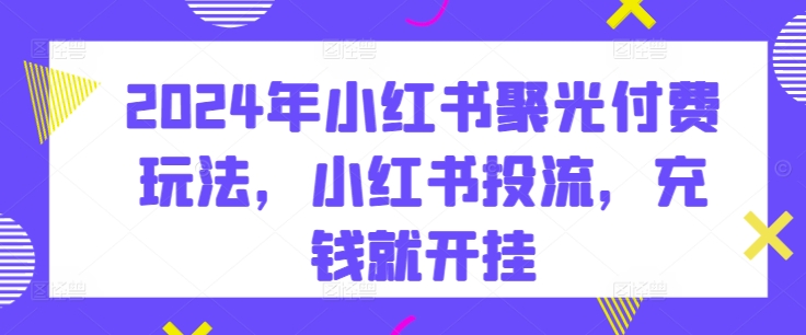 2024年小红书聚光付费玩法，小红书投流，充钱就开挂-巴七创客网