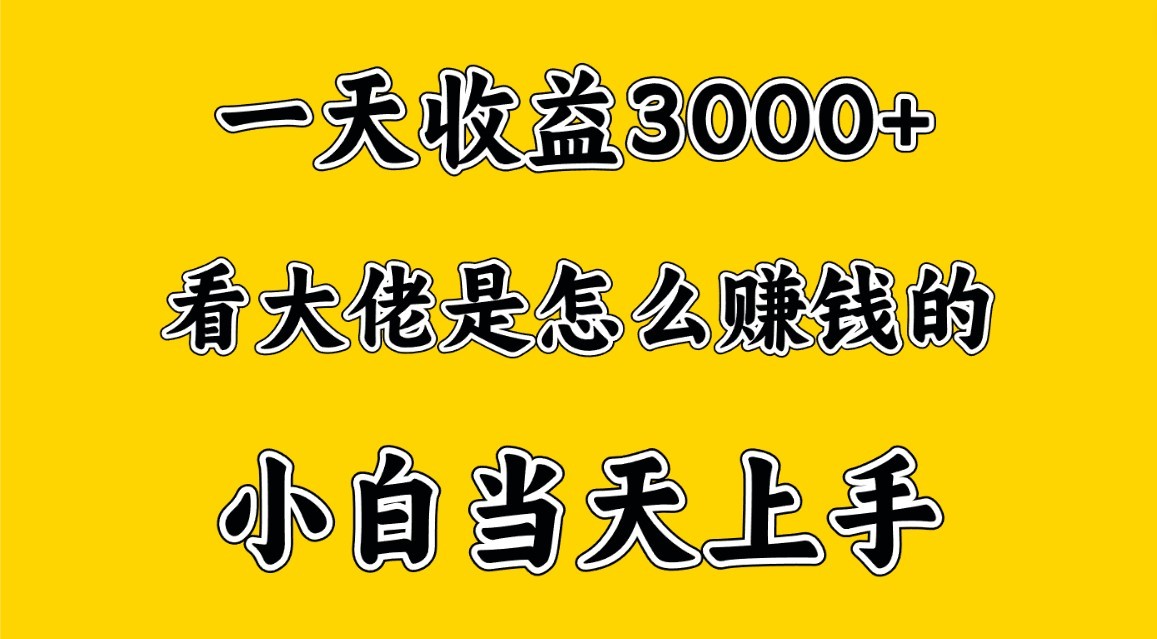 一天赚3000多，大佬是这样赚到钱的，小白当天上手，穷人翻身项目-巴七创客网