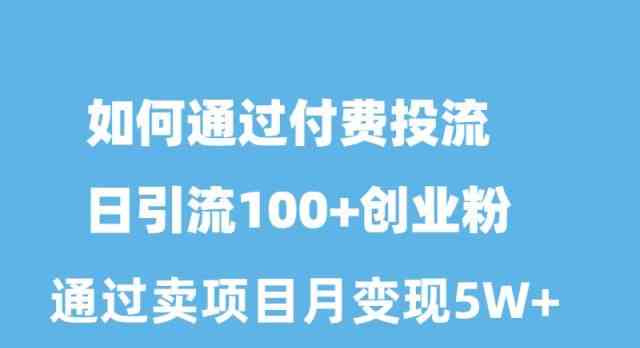 （10189期）如何通过付费投流日引流100+创业粉月变现5W+-巴七创客网