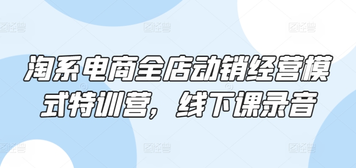淘系电商全店动销经营模式特训营，线下课录音-巴七创客网