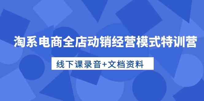 （10192期）淘系电商全店动销经营模式特训营，线下课录音+文档资料-巴七创客网