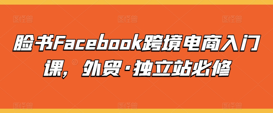 脸书Facebook跨境电商入门课，外贸·独立站必修-巴七创客网