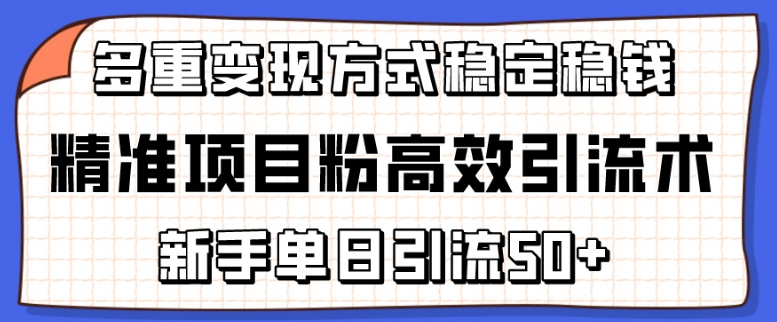 精准项目粉高效引流术，新手单日引流50+，多重变现方式稳定赚钱-巴七创客网