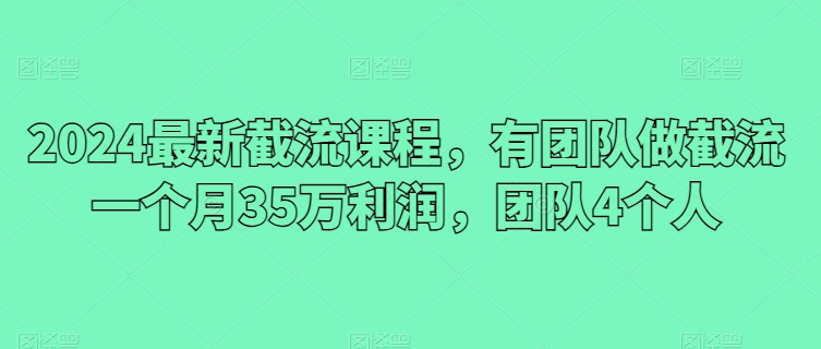 2024最新截流课程，有团队做截流一个月35万利润，团队4个人-巴七创客网