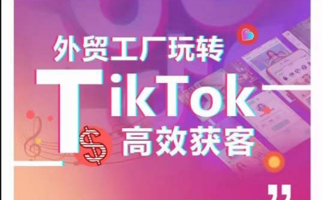 外贸工厂玩转TikTok高效获客，多种引流方式与账号定位技巧，拆解爆款短视频打造成功案例-巴七创客网