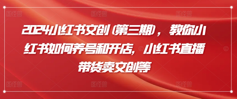 2024小红书文创(第三期)，教你小红书如何养号和开店，小红书直播带货卖文创等-巴七创客网