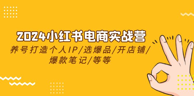 （10376期）2024小红书电商实战营，养号打造IP/选爆品/开店铺/爆款笔记/等等（24节）-巴七创客网