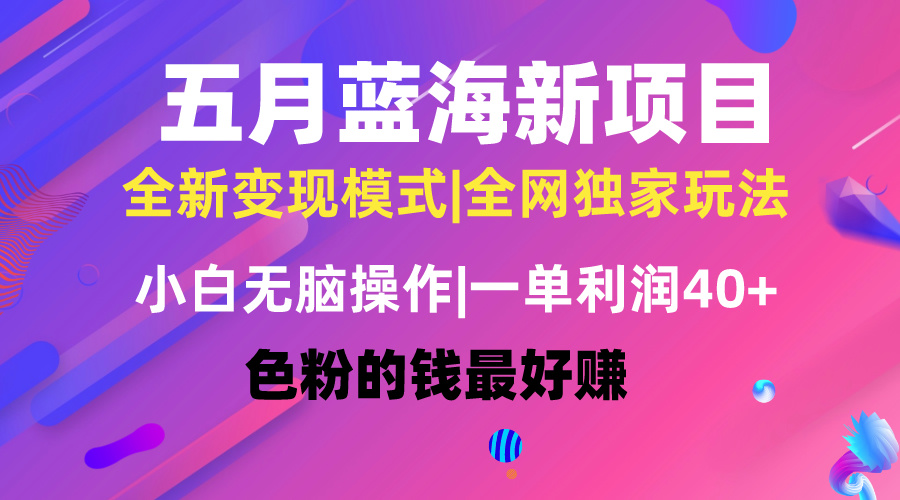 （10477期）五月蓝海项目全新玩法，小白无脑操作，一天几分钟，矩阵操作，月入4万+-巴七创客网