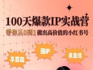 小红书100天爆款IP实战营，带你从0到1做出高价值的小红书号-巴七创客网