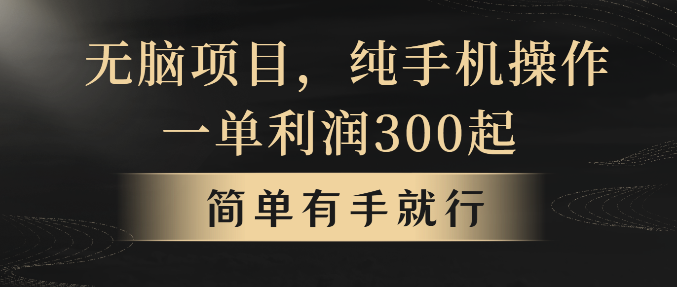 （10699期）无脑项目，一单几百块，轻松月入5w+，看完就能直接操作-巴七创客网