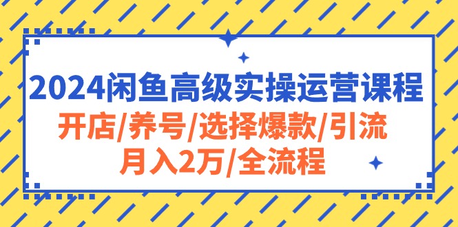 （10711期）2024闲鱼高级实操运营课程：开店/养号/选择爆款/引流/月入2万/全流程-巴七创客网