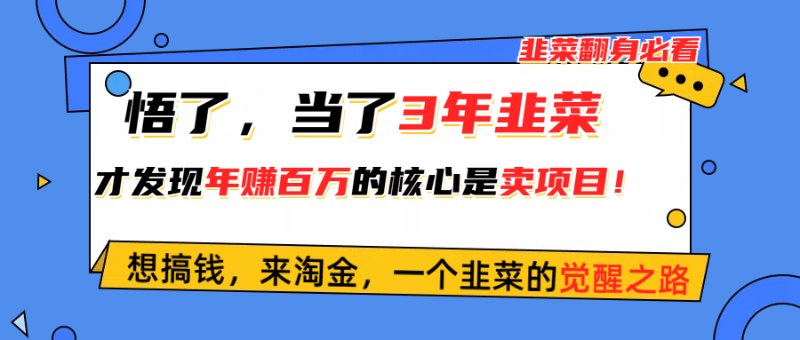 （10759期）悟了，当了3年韭菜，才发现网赚圈年赚100万的核心是卖项目，含泪分享！-巴七创客网