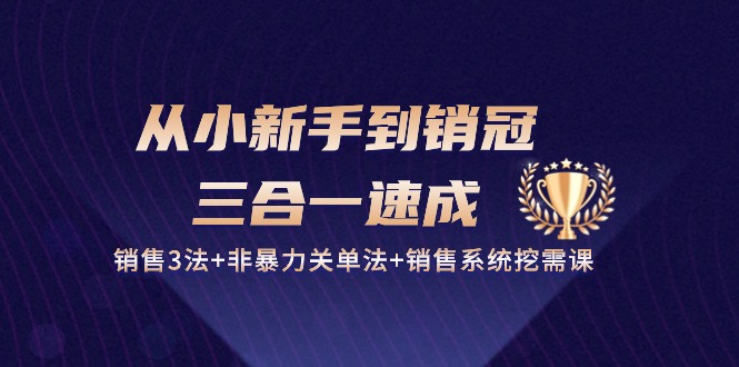 （10799期）从小新手到销冠 三合一速成：销售3法+非暴力关单法+销售系统挖需课 (27节)-巴七创客网